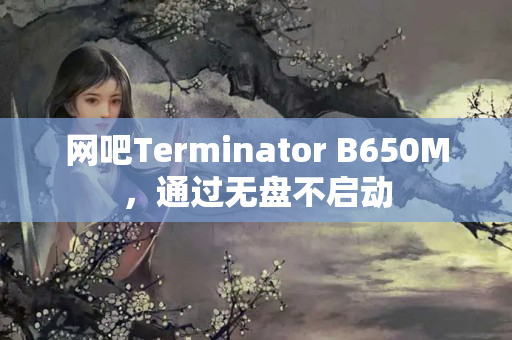 网吧Terminator B650M,通过无盘不启动